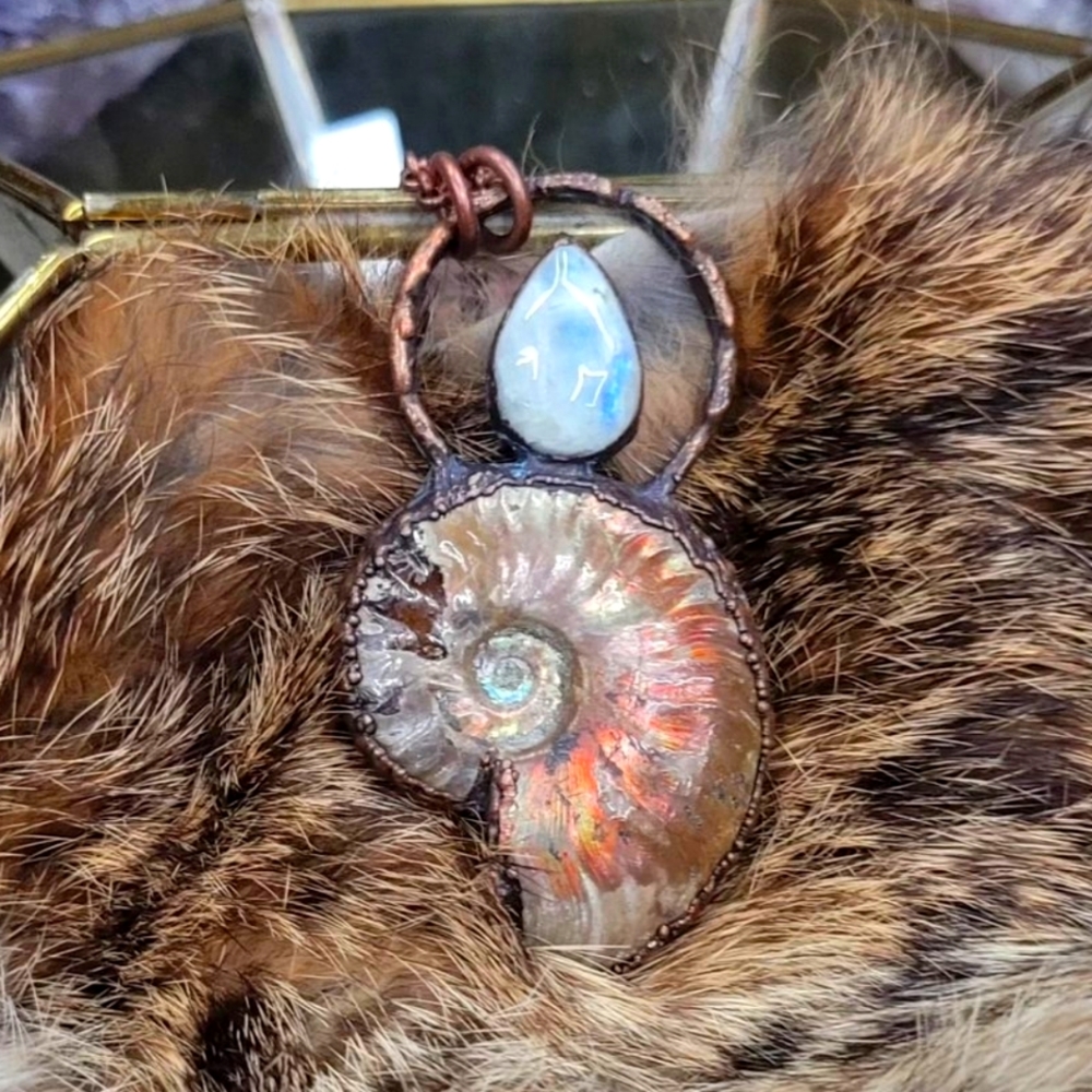 Welcome to my closet!